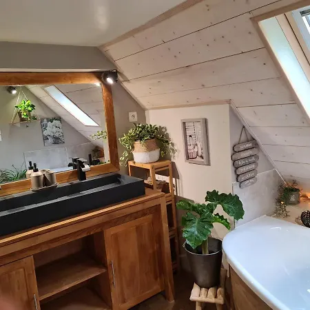Gite Le Gabizos Avec Bain Nordique Et Sauna En Pleine Montagne Arrens-Marsous