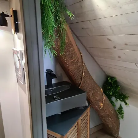 Gite Le Gabizos Avec Bain Nordique Et Sauna En Pleine Montagne Arrens-Marsous